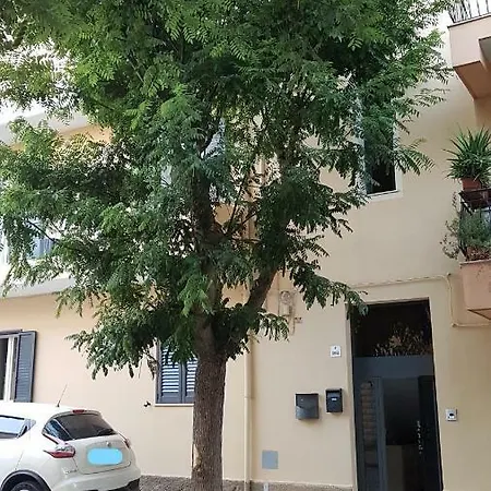 Musica 2* Alghero